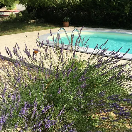 Le Petit Cabanon 3*