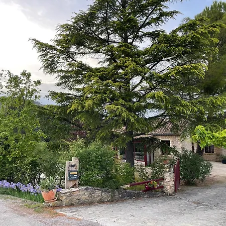 Le Petit Cabanon Bed & Breakfast